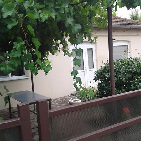 Pensiunea Casa Didina Bacău Buitenkant foto