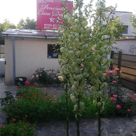 Pensiunea Casa Didina Bacău Buitenkant foto