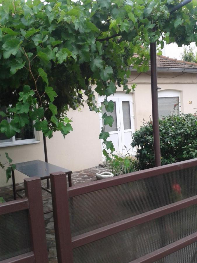 Pensiunea Casa Didina Bacău Buitenkant foto
