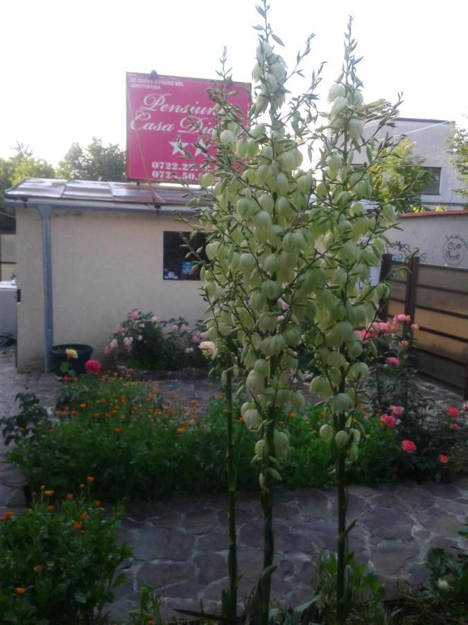 Pensiunea Casa Didina Bacău Buitenkant foto